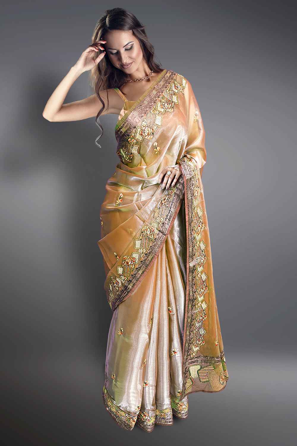 Embroidery Border Saree