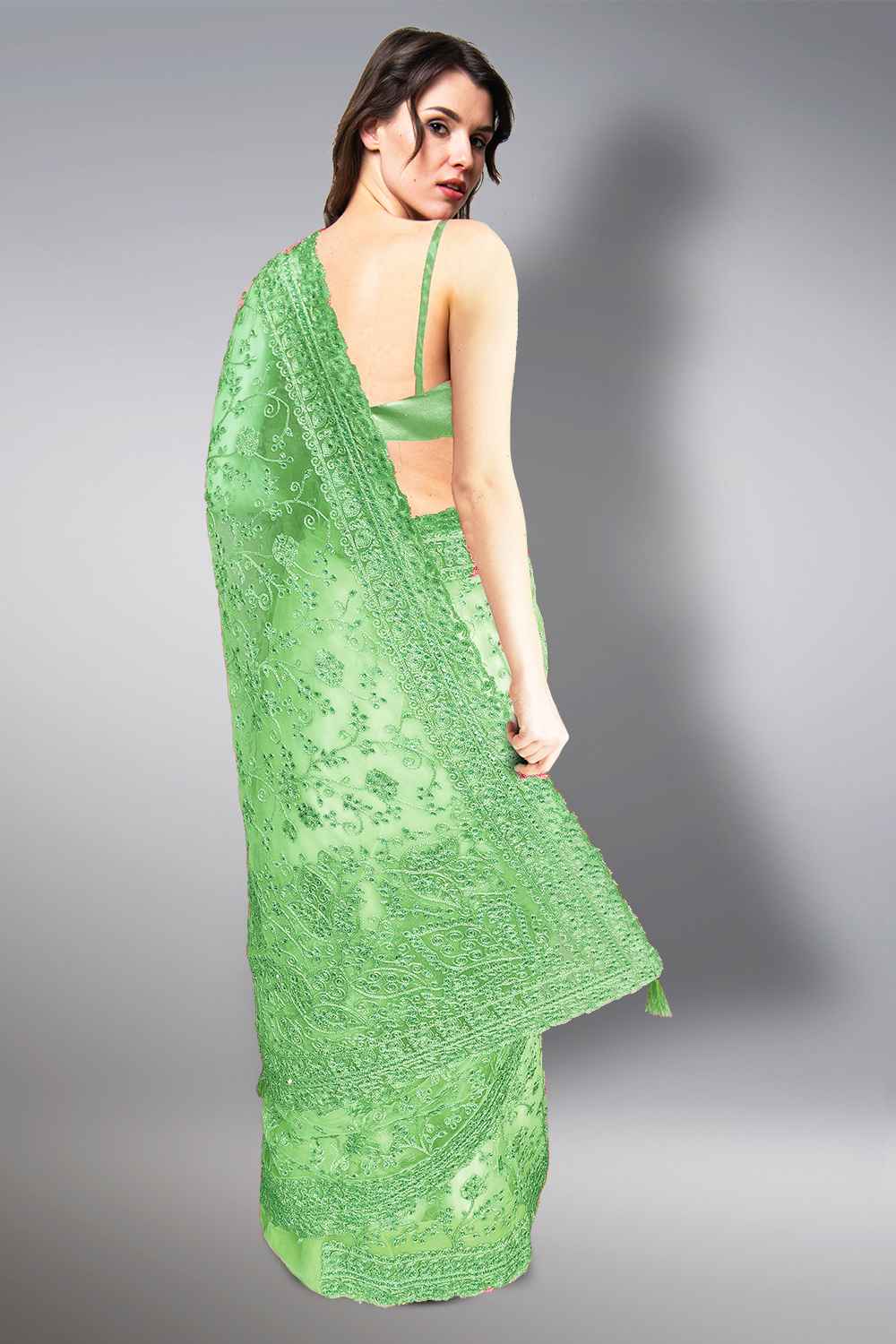 Fancy Net Saree