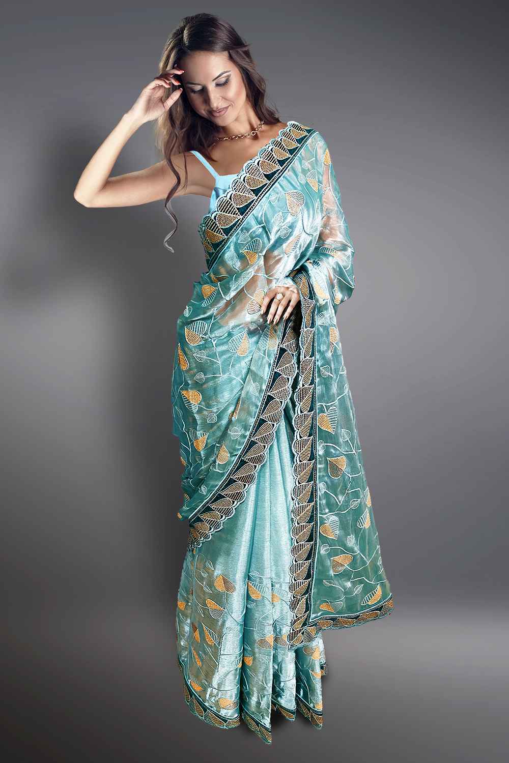 Organza Saree with Embroidery Border