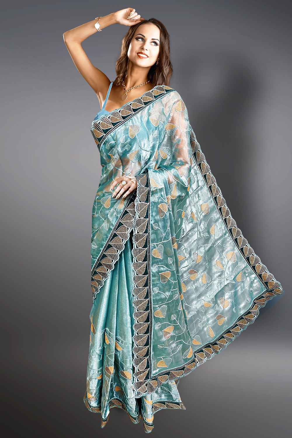 Organza Saree with Embroidery Border