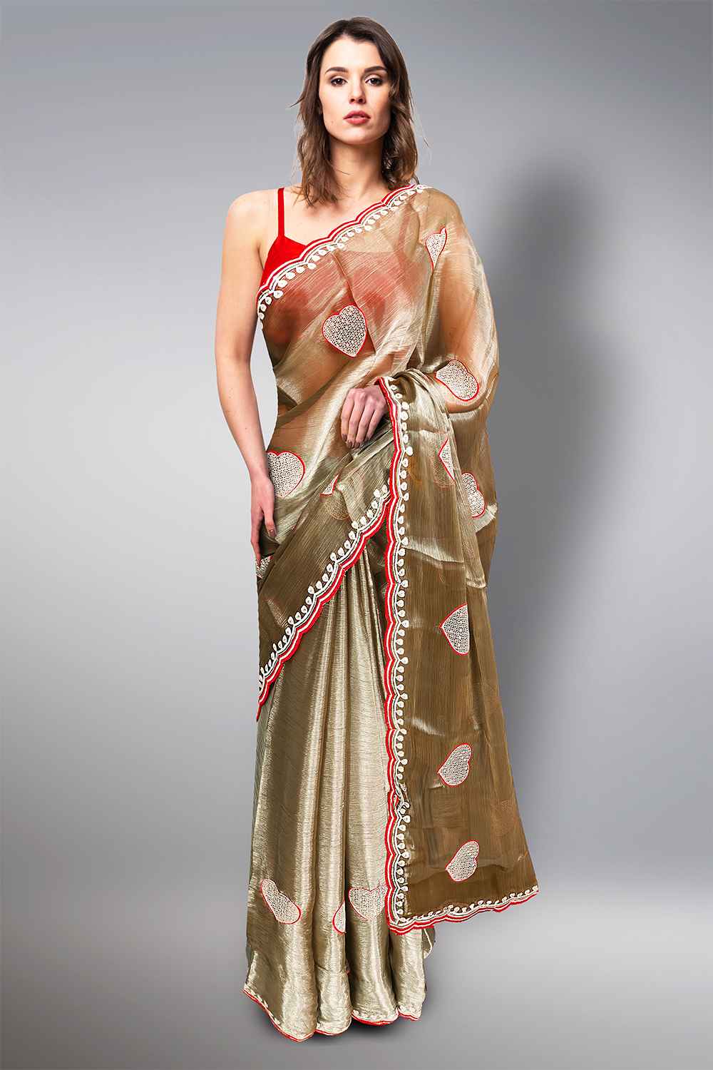 Organza Silk Saree with Embroidery