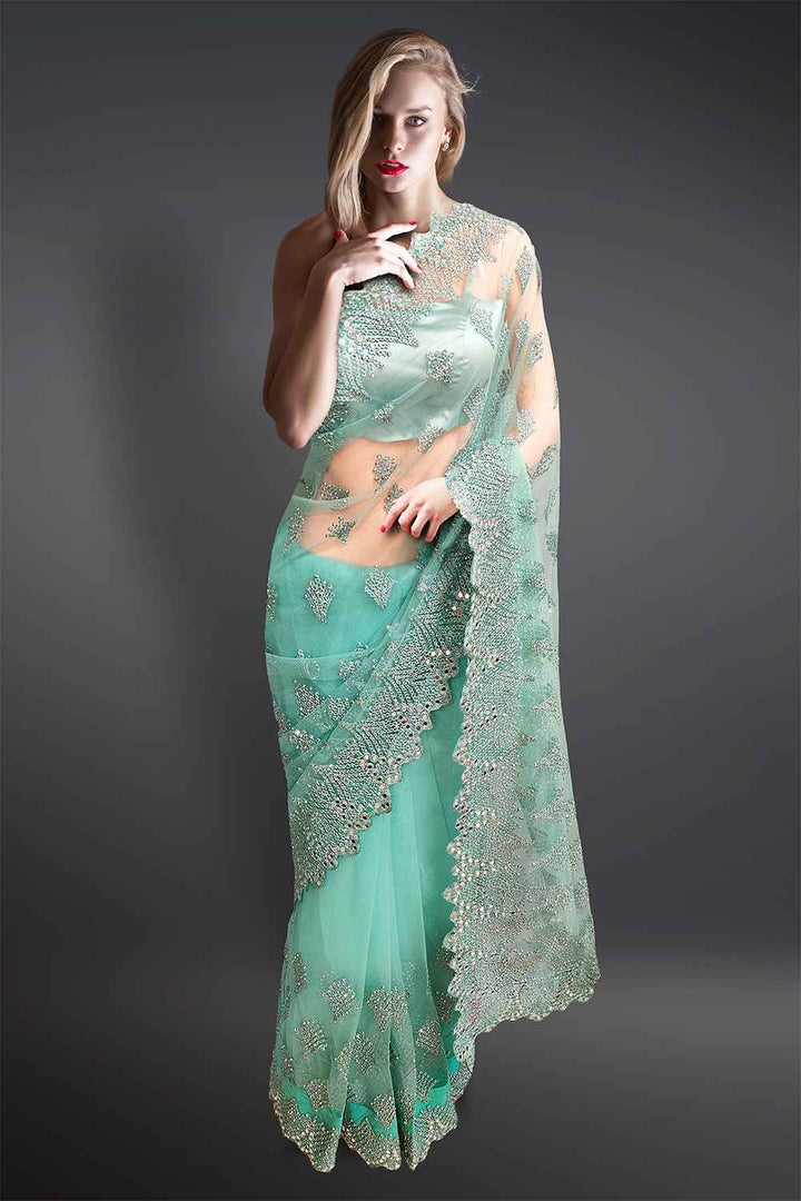 Sky Blue Net Saree