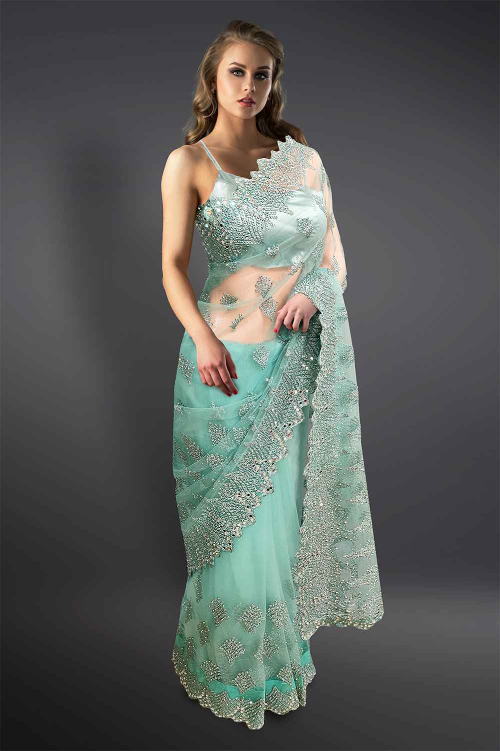 Sky Blue Net Saree