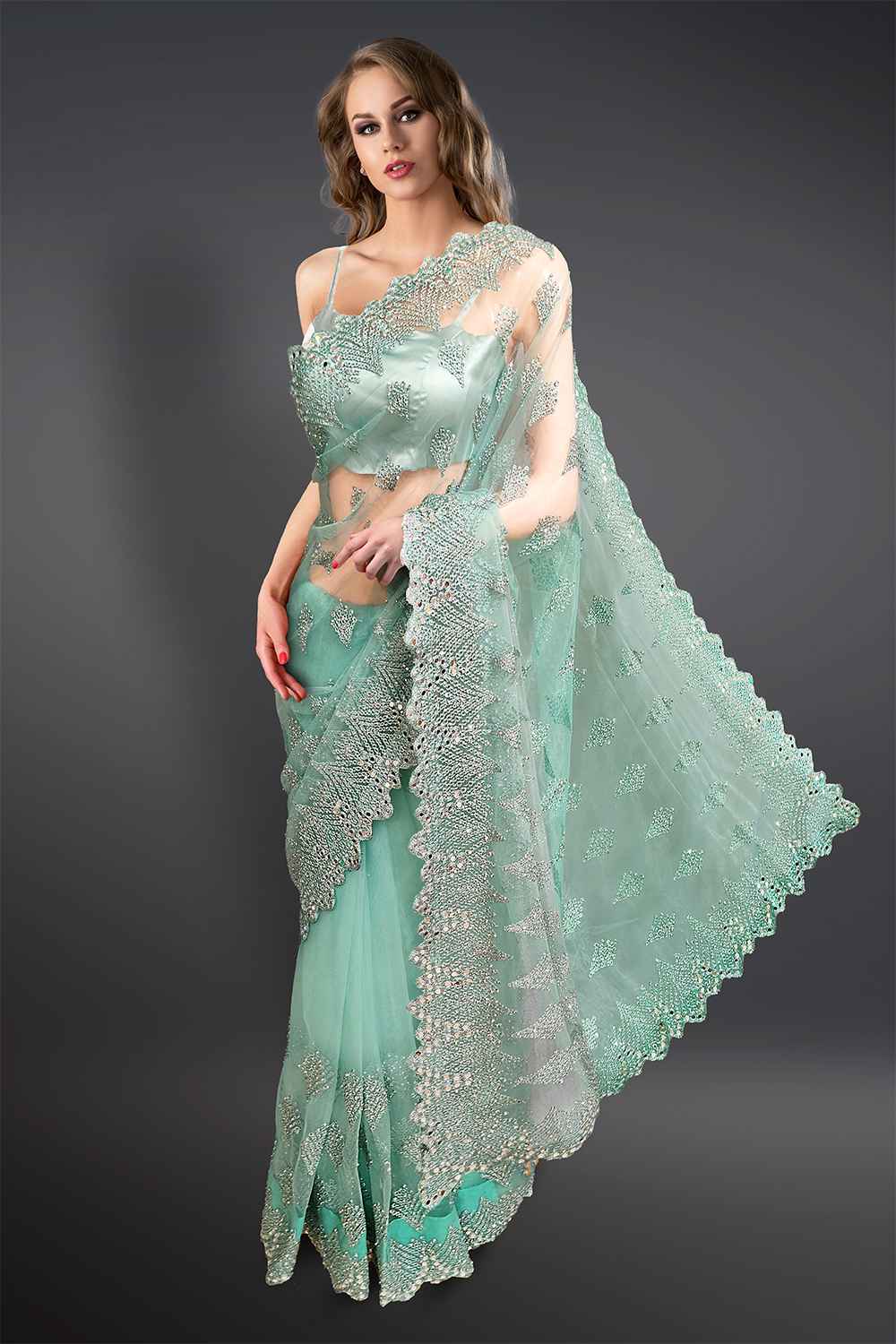 Sky Blue Net Saree