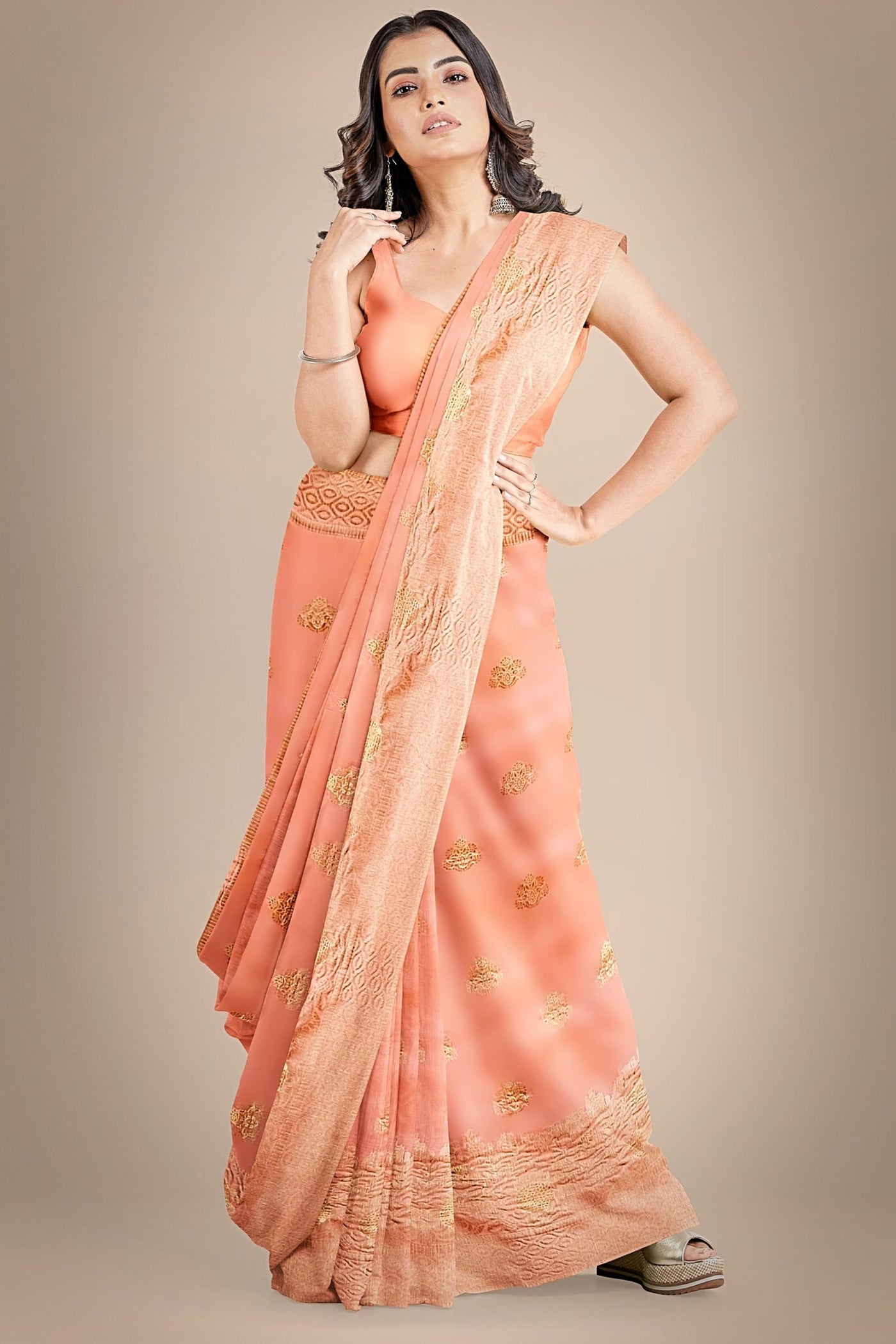 Another Life Banarasi Organza Saree - Sttylme
