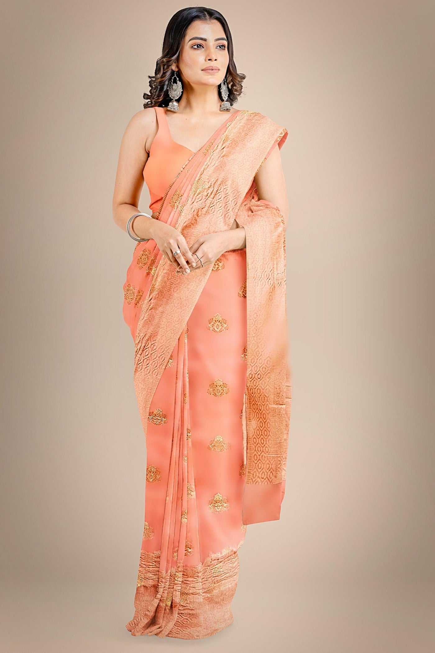 Another Life Banarasi Organza Saree - Sttylme