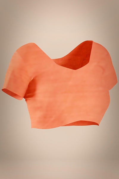 Another Life Banarasi Organza Saree - Sttylme